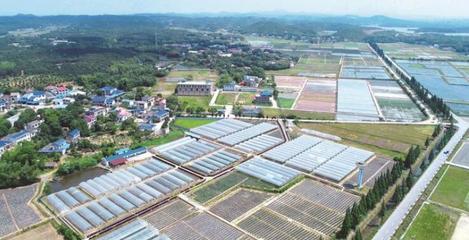 長(zhǎng)沙縣啟動(dòng)第一批種業(yè)小鎮(zhèn)建設(shè)