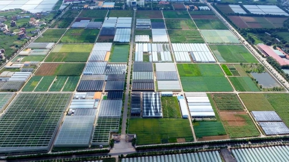 云南省全力發(fā)展農(nóng)業(yè)新質(zhì)生產(chǎn)力