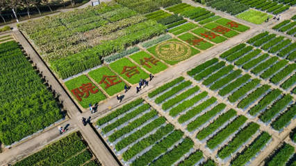 廣東種業(yè),乘風(fēng)破浪