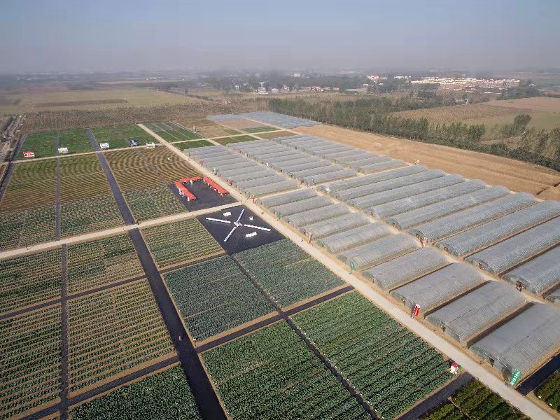 種業(yè)小鎮(zhèn)賦能農(nóng)業(yè)強'芯'，構筑現(xiàn)代農(nóng)業(yè)新引擎