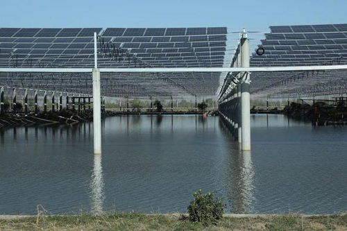 成功簽約建設贛榆特色現(xiàn)代化設施漁業(yè)低零碳園區(qū)，助力種業(yè)發(fā)展新篇章