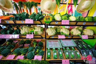 種業(yè)振興，改變世界 第二十九屆中國(guó)北京種業(yè)大會(huì)特色產(chǎn)品璀璨亮相