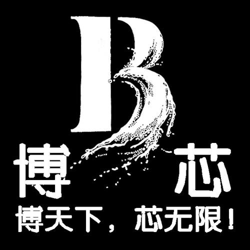 洞察科技脈搏，賦能企業(yè)未來(lái)——山東博芯信息科技信息咨詢服務(wù)解析